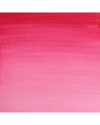 ROSA PERMANENTE