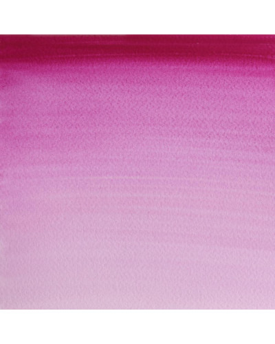 LACA PURPURA