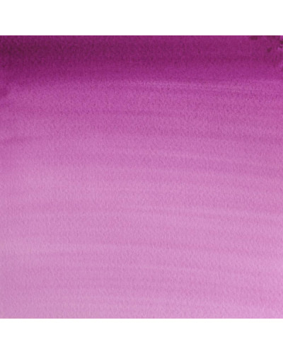 MALVA