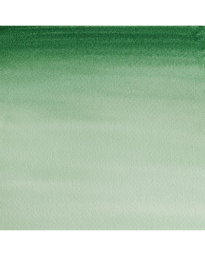 VERDE OSCURO DE HOOKER