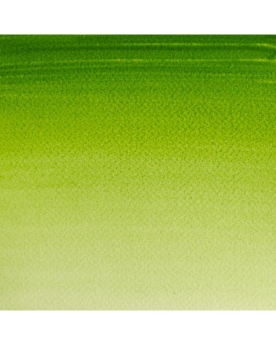 VERDE VEJIGA
